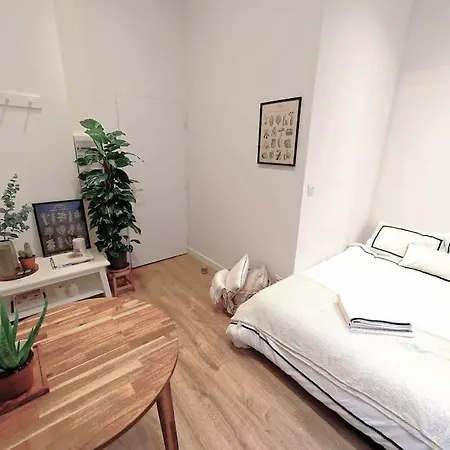 Collection Terreaux - No 2 Plein Centre Apartment